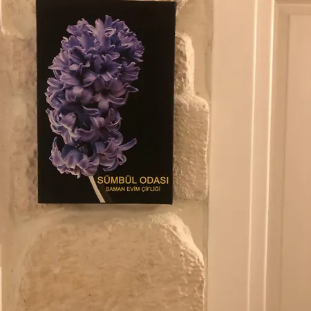 Saman Evim Ciftligi Alloggio in famiglia *