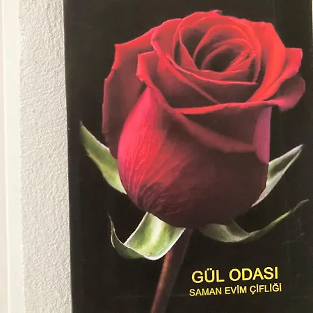 Saman Evim Ciftligi Alloggio in famiglia *
