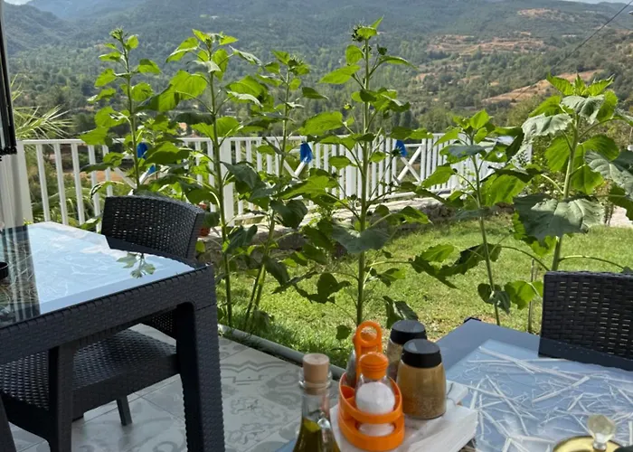 Saman Evim Ciftligi * Sindirgi